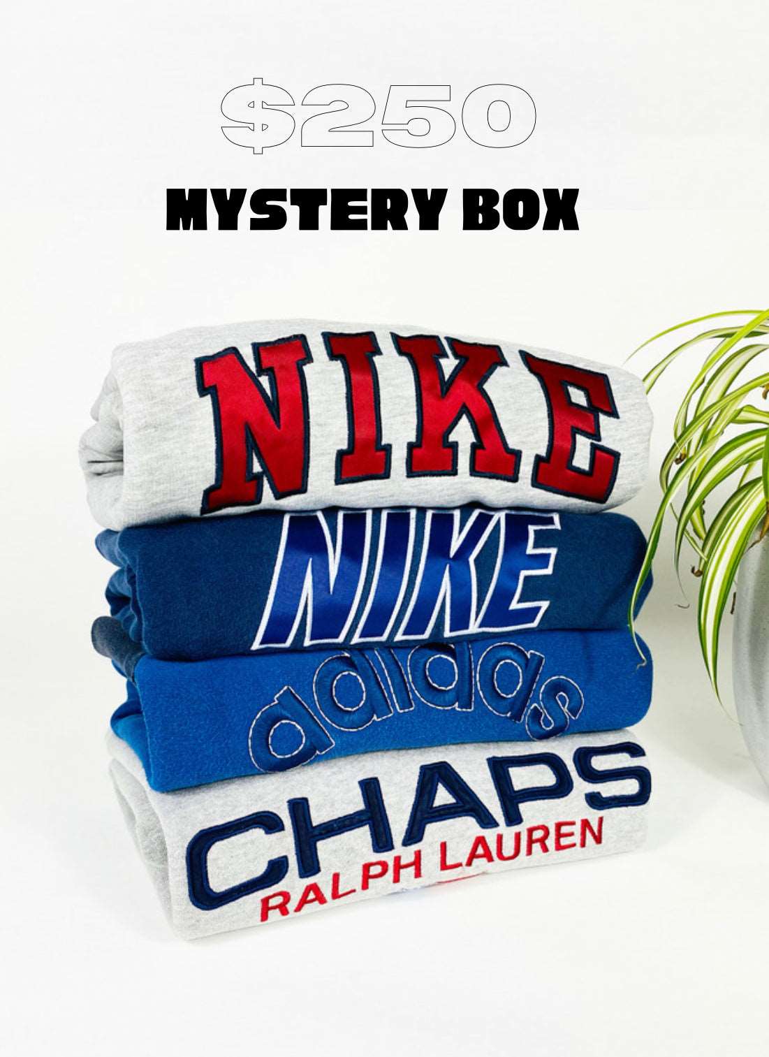 Revived Vintage $250 Mystery Box